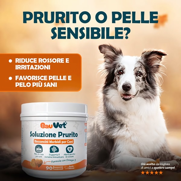 A 1:1 ratio ad creative featuring a dog with a clear headline identifying a common skin problem and a list of key product benefits.